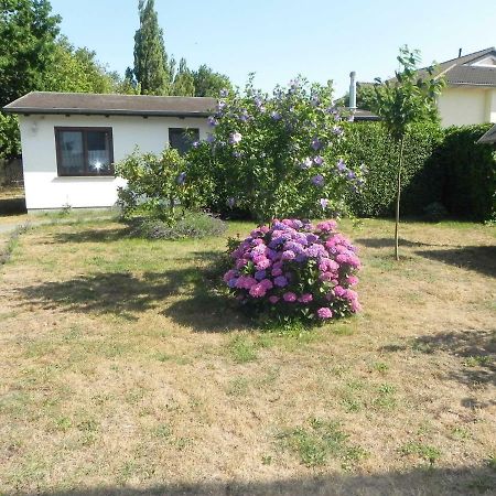 Bungalow _Carpe diem_ Villa Heringsdorf  Bagian luar foto